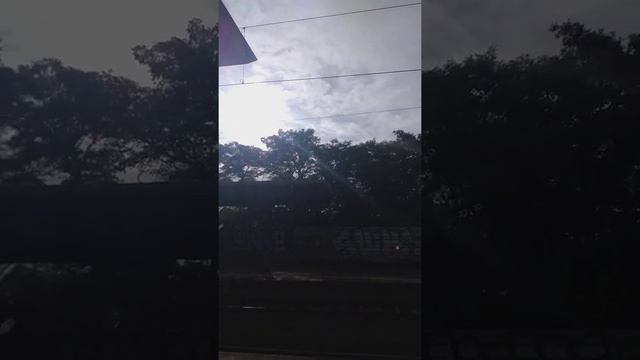 радуга с дождём смотреть онлайн