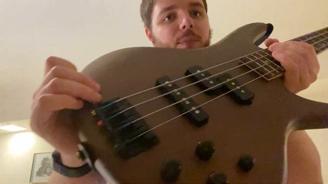 The Bass That Keeps Coming Back