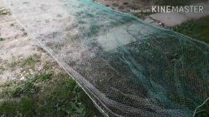 Лучшая снасть на рака. Запретная.бредень.волок.