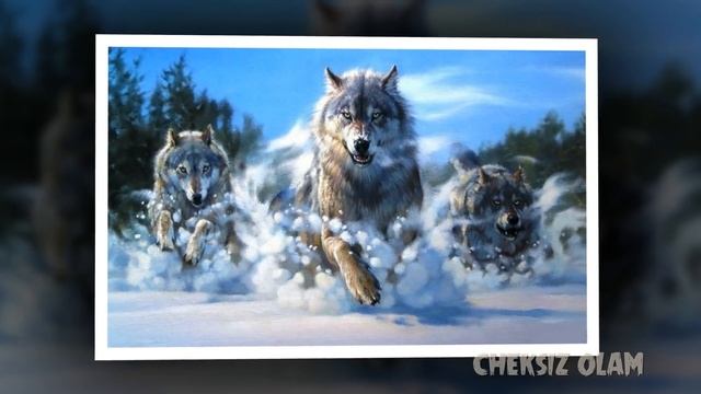 BO'RILAR HAQIDA SIZ BILMAGAN ENG ZO'R FAKTLAR | БЎРИЛАР ХАҚИДА ЭНГ ЗЎР ФАКТЛАР