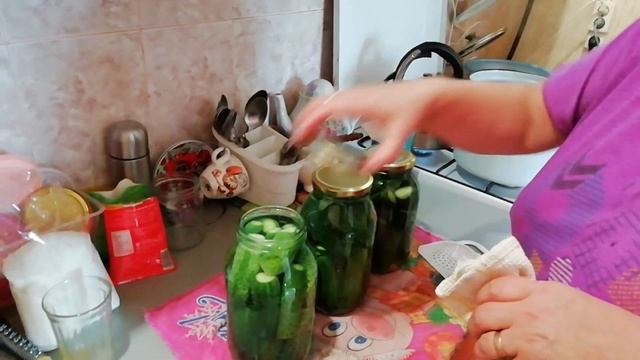 Засолка огурцов смотреть онлайн