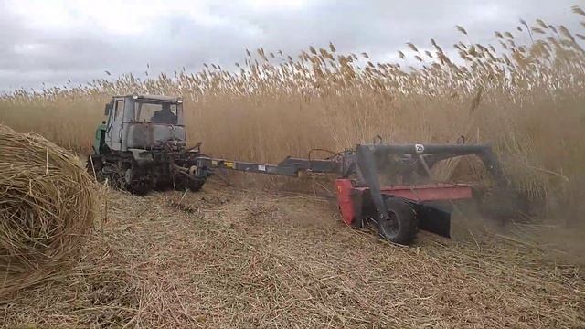 Косилка Vicon по камышу смотреть онлайн