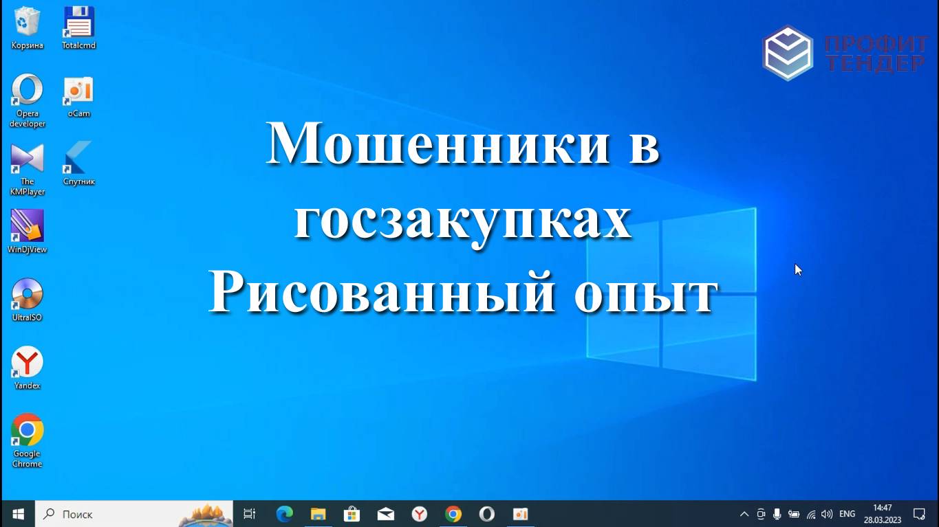 Разговор с мошенниками по госзакупкам. Рисованный опыт.