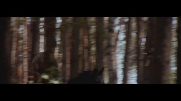 Mumford and Sons - Ditmas video clip. Mumford and Sons - Ditmas lyrics