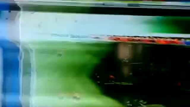 Scrambled cable channel смотреть онлайн