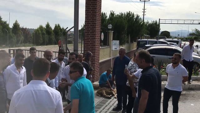 BAFRALI ŞABAN ERDOĞAN смотреть онлайн