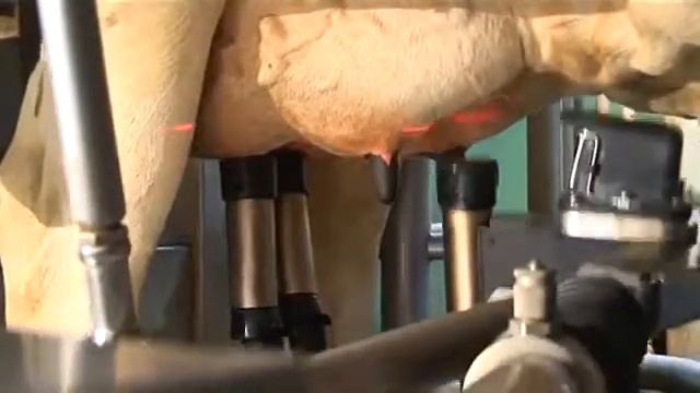 Доение коров роботом дояром DeLaval VMS смотреть онлайн