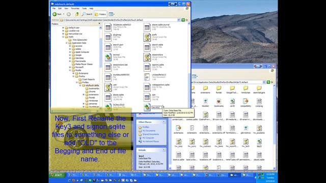 Tutorial - Firefox, Manually Importing Saved Passwords смотреть онлайн