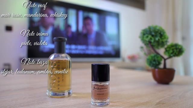 Baldessarini Ambre (Ro)
