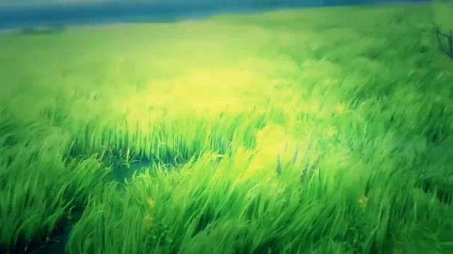 「AMV」- Одиночество смотреть онлайн