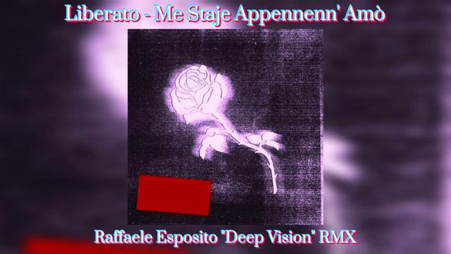 Liberato - Me Staje Appennenn' Amò (Raffaele Esposito Extended "Deep Vision" Remix) смотреть онлайн