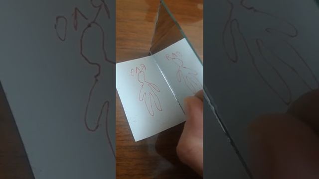 зеркальная защита смотреть онлайн