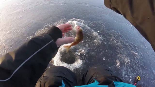 Ловля щуки на жерлицы. Отлично половили щуку! смотреть онлайн