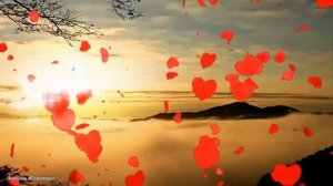 Пусть миром правит любовь