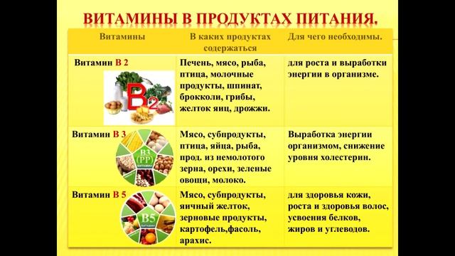 Основы правильного питания для начальной и средней школ смотреть онлайн