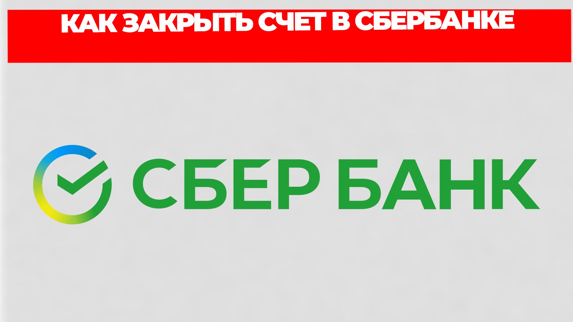 Всезнающий Енот