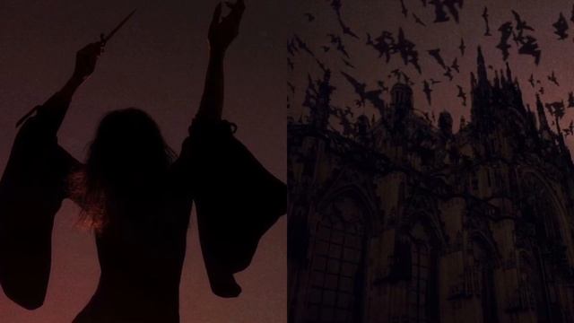 ☽・желаемые волосы｜desired hair смотреть онлайн