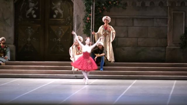 Raymonda - Olesia Novikova - Act II Variation