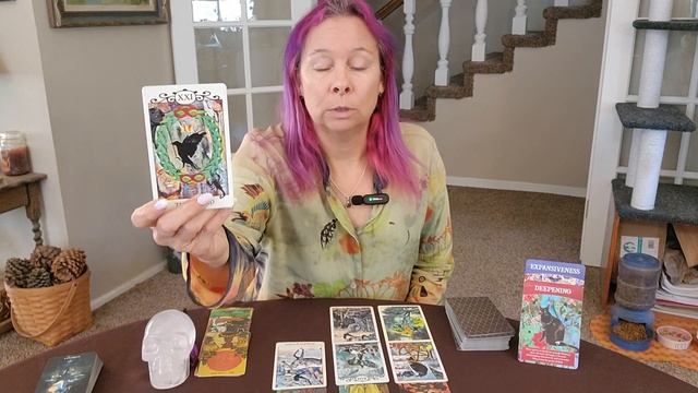 Capricorn Tarot-November ♑️ 5th-11th Apologize - No little BS - Speak from ❤️ смотреть онлайн