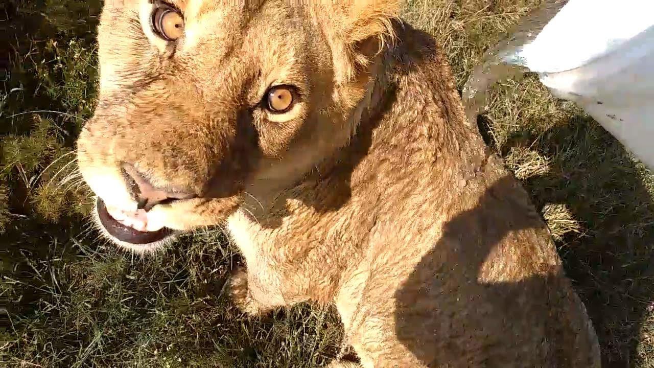 Наши архивы - поливаем Фиктейл. смотреть онлайн