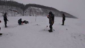 Ловим Берша на мормышку и поставушки с подсадкой тюльки  река Кама. Мормышинг рулит.