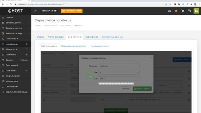 Как добавить поддомен в DNS менеджере смотреть онлайн
