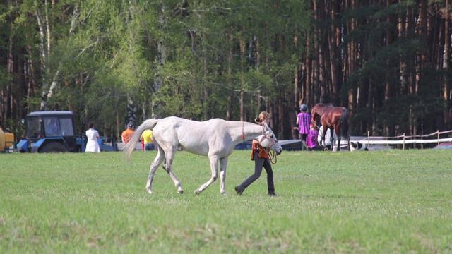 Международные соревнования по дистанционным конным пробегам. смотреть онлайн