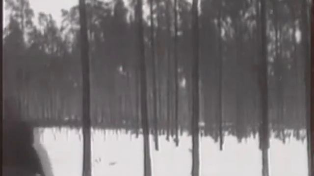 Программа "Здоровье" 21 марта 2010 г. (мертвая точка, бодибилдинг, хлор, глаукома) смотреть онлайн