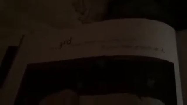 Blyth reads 10 Little Rubber Ducks смотреть онлайн