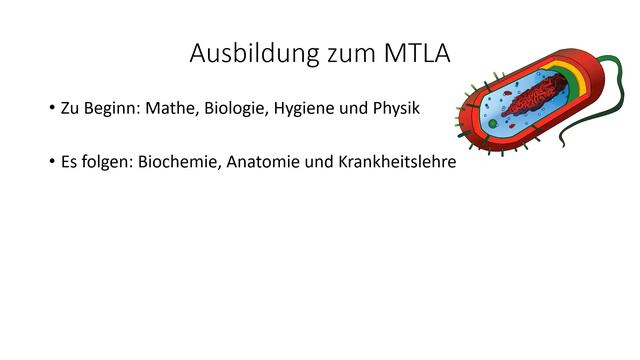 MTLA Ausbildung - kurz und knapp смотреть онлайн