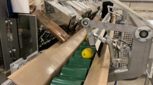 Линия по дозированию и фасовке яблок в полиэтиленовый пакет (полурукав) производства SEMER (СЕМЕР).