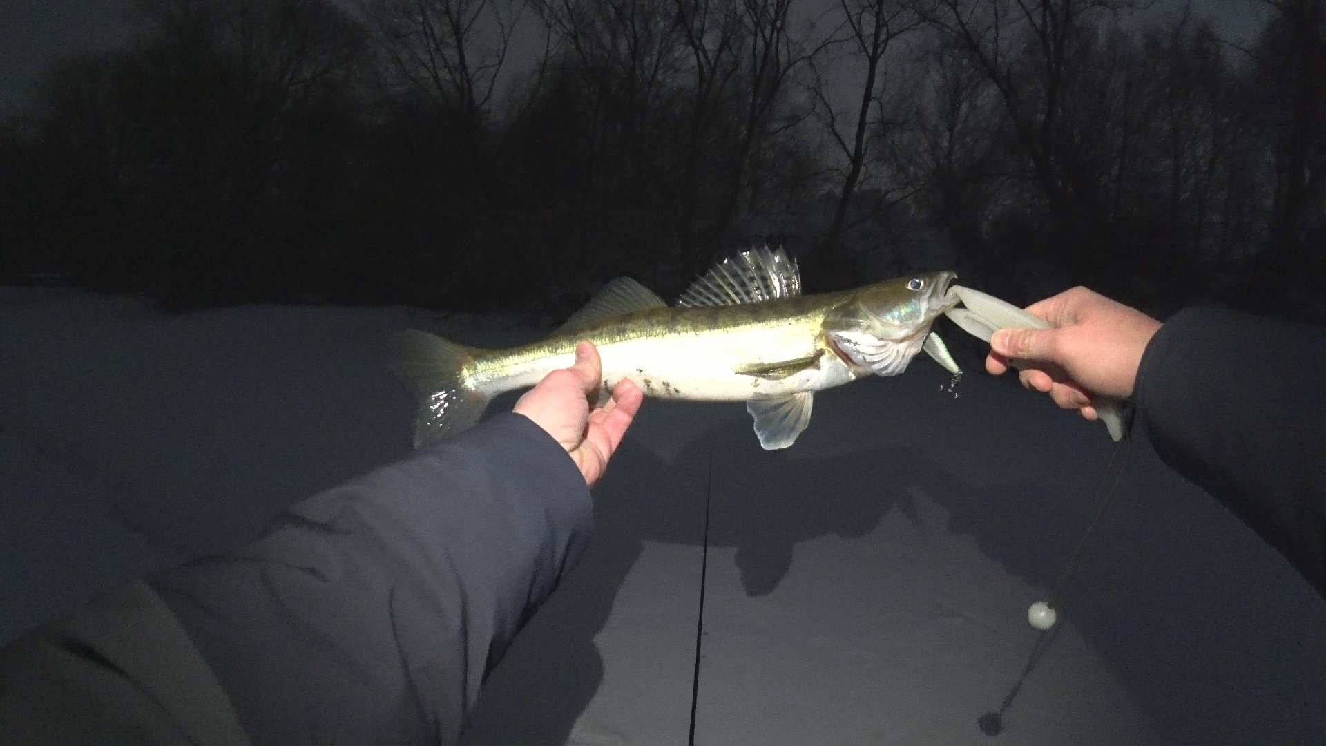 СУДАК есть. Ветер сбивает с ног, а мы приехали на МР с воблерами. Рыбалка на спиннинг 2023
