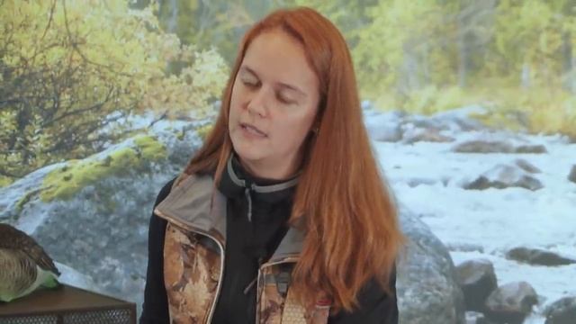 Охота на ГУСЯ! СЕКРЕТЫ удачной охоты! смотреть онлайн