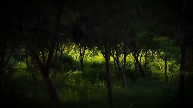 [10 Hrs.] Jeremy Soule (Skyrim) — “Skyrim Atmospheres” [Extended] смотреть онлайн