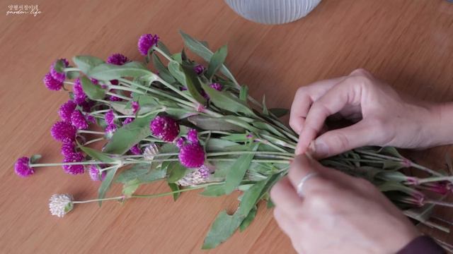 SUB) '가을 정원' 🍂  첫서리내린날 / 달리아구근캐기 / 10년된 목조주택 창호공사 4K