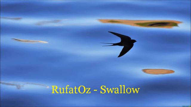 Ласточка (Руфат Сулейманов). Swallow. Composed and performed by Rufatoz. смотреть онлайн