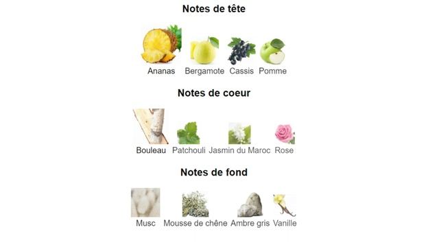 Creed Aventus смотреть онлайн