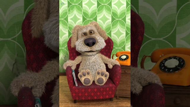 Пудель Бен не хочет со мной разговаривать. смотреть онлайн