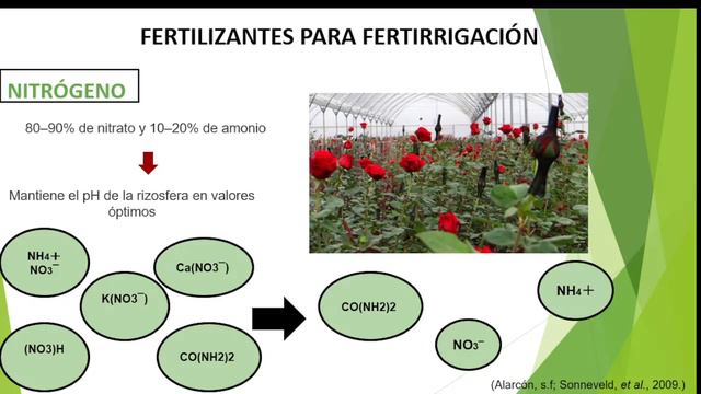 FERTILIZANTES PARA FERTIRRIGACION EN EL CULTIVO DE FLORES | AGRONOMIA | AGRICULTURA | ORNAMENTALES смотреть онлайн