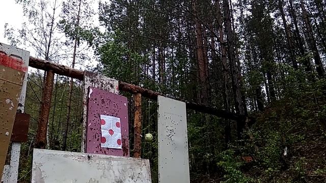 Грибы и их роль в разложении органического вещества