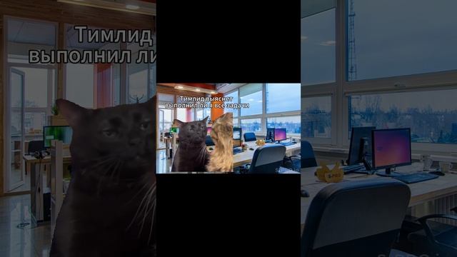 Мой рабочий день: смотреть онлайн