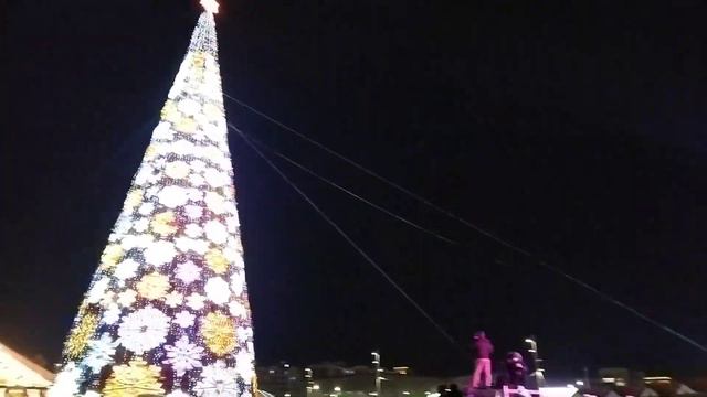 THE BIGGEST CHRISTMAS TREE OF OUR CITY. САМАЯ БОЛЬШАЯ ЁЛКА НАШЕГО ГОРОДА
