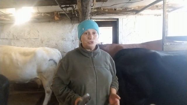 Все что нас не убивает Делает сильнее смотреть онлайн