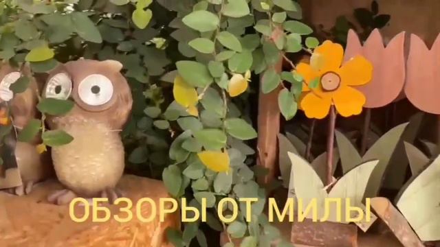 Деревенский дневник очень многодетной мамы Ольги Быковой. Обзор статьи. смотреть онлайн