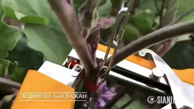 Подвязчик для растений смотреть онлайн