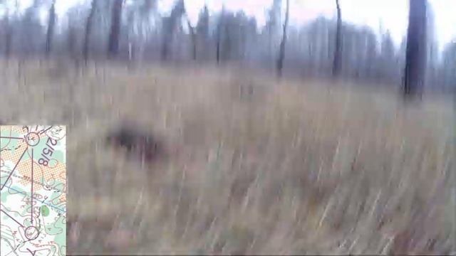 Девушка бежит ориентирование | Girl runs orienteering смотреть онлайн