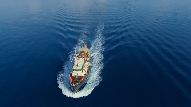 Video Dp Monitor смотреть онлайн