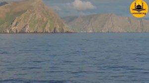 Рукъя (Куран менен дарылоо) Устаз Эрмек Тынай Ажы уулу. Рукия