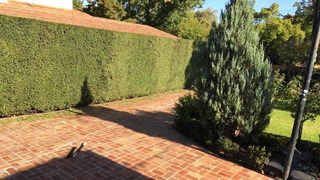 Trimming hedges without getting off the ground. смотреть онлайн