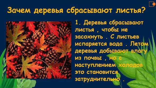 Жизнь растений осенью. Окружающий нас мир смотреть онлайн
